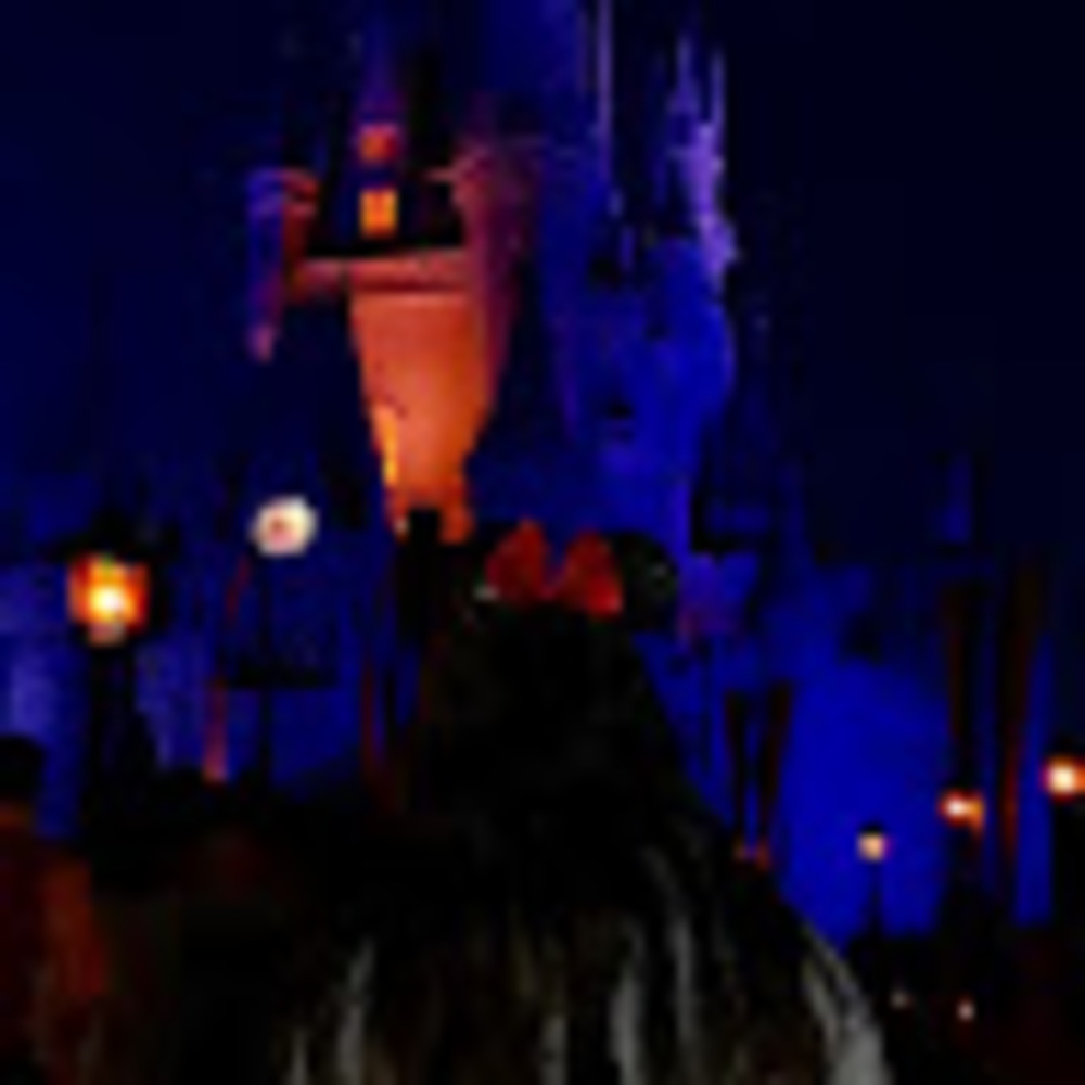 Meet your Posher, Sriya